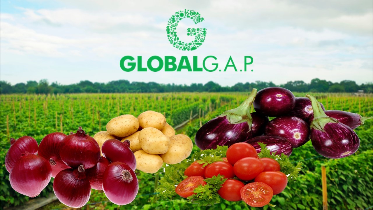 Gloabl-GAP-Certification