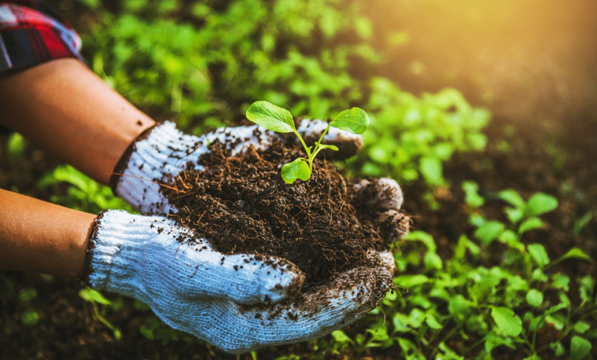 Organic-NPOP-Certification